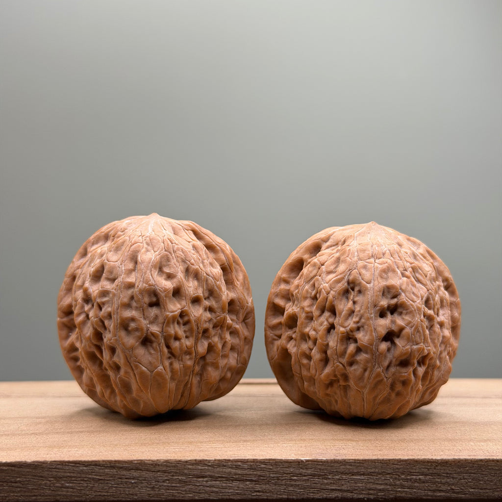 Hammer Lion Head Wenwan Walnut