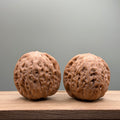 Hammer Lion Head Wenwan Walnut