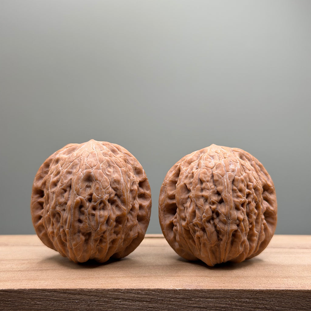 Hammer Lion Head Wenwan Walnut
