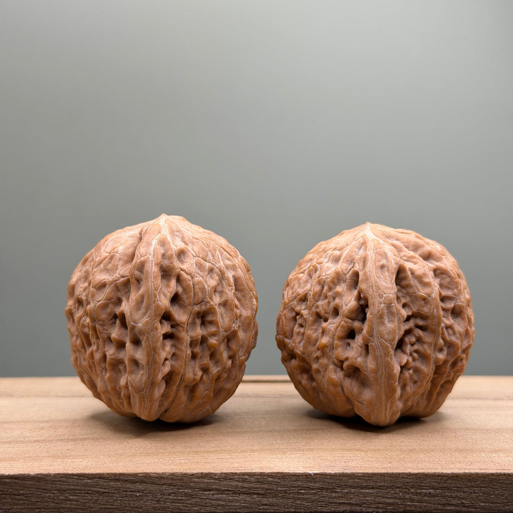 Hammer Lion Head Wenwan Walnut