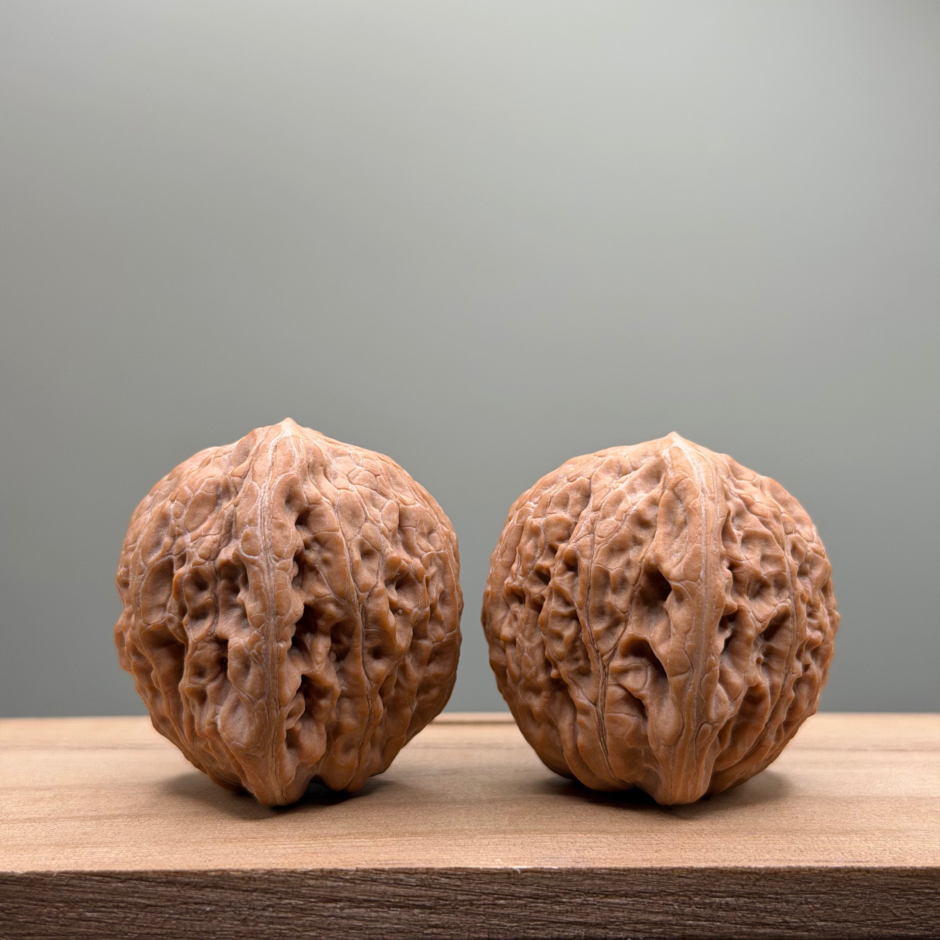 Hammer Lion Head Wenwan Walnut