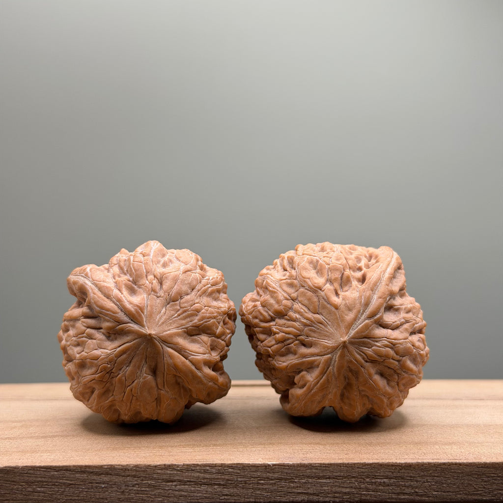 Hammer Lion Head Wenwan Walnut