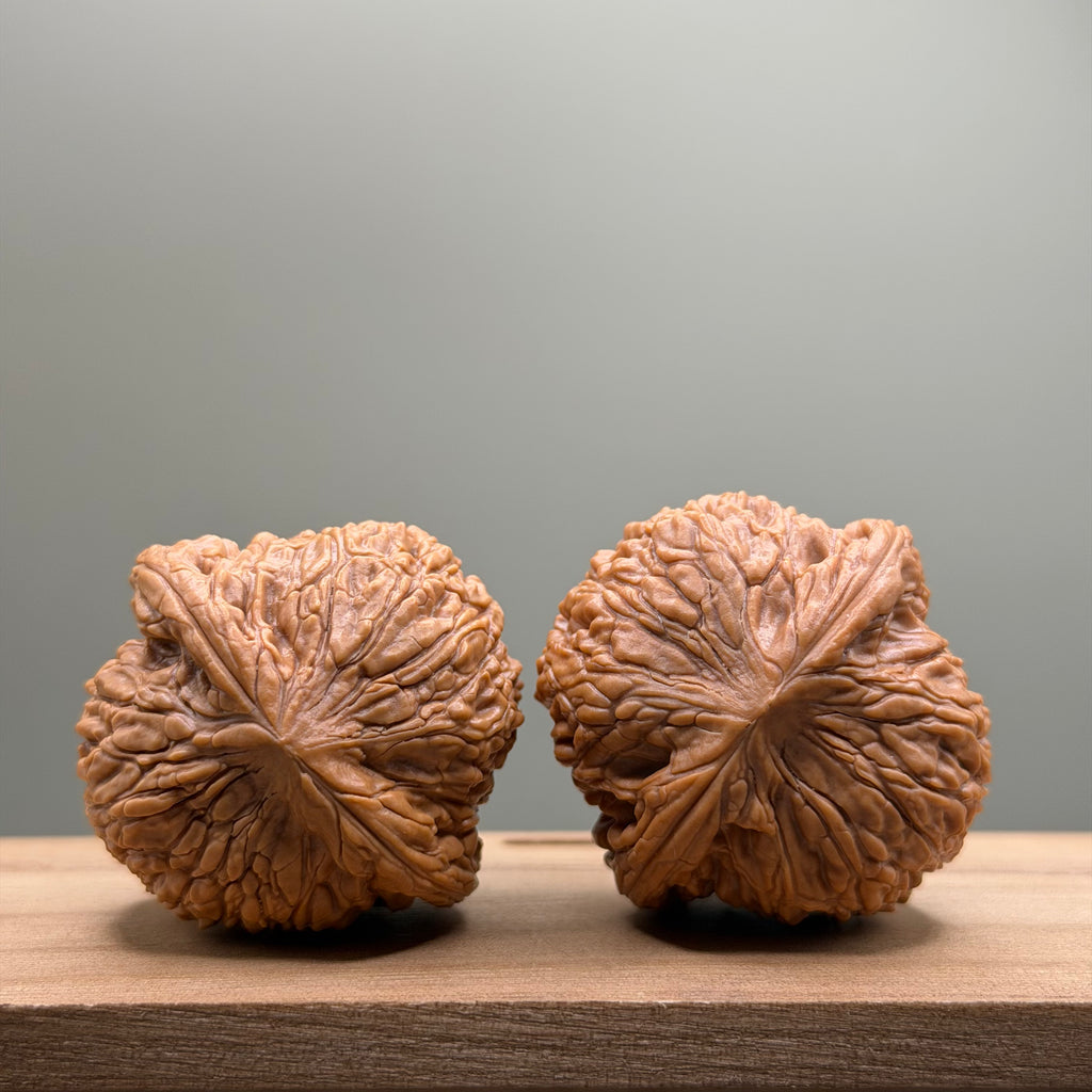 Loach Back Lion Head Wenwan Walnut