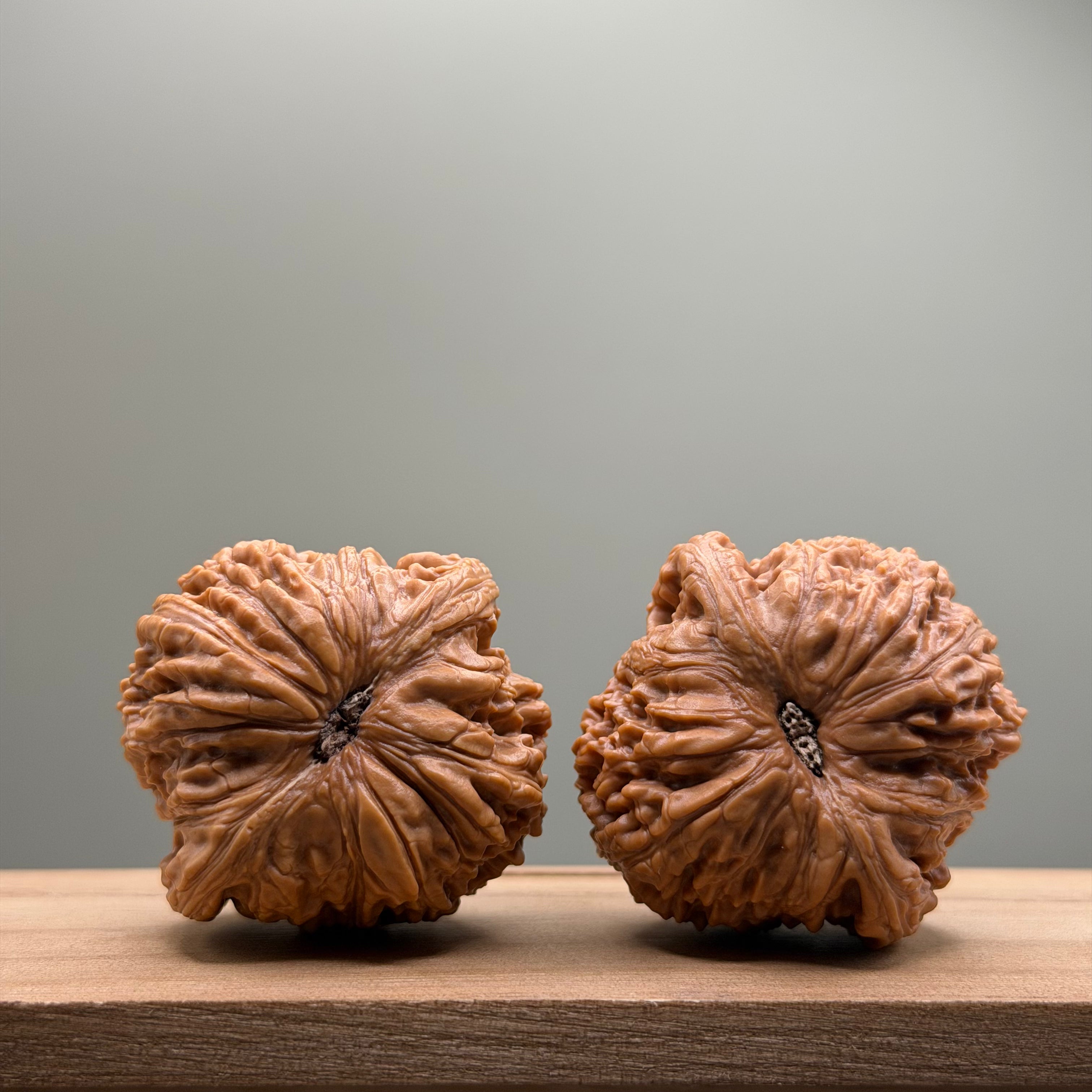 Loach Back Lion Head Wenwan Walnut