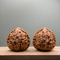 Golden Bull Lion Head Wenwan Walnut