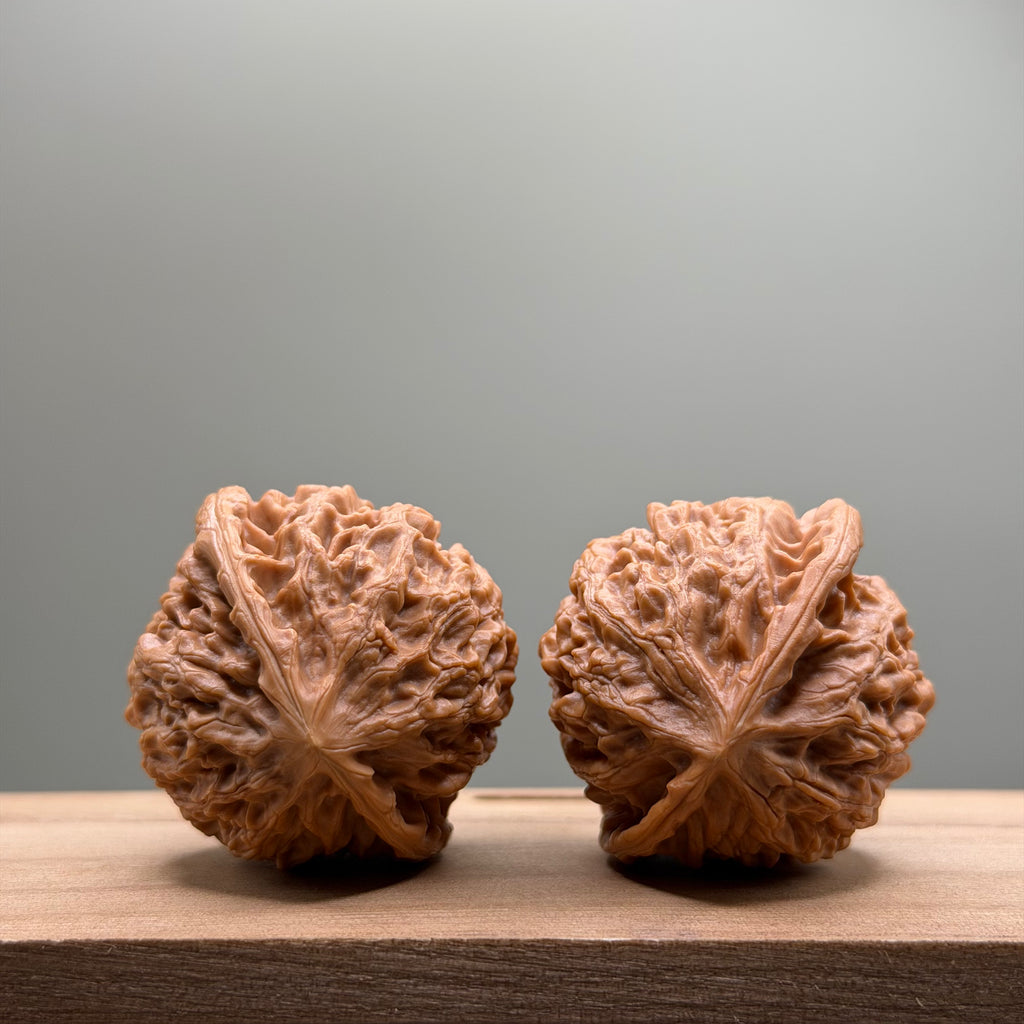 Golden Bull Lion Head Wenwan Walnut