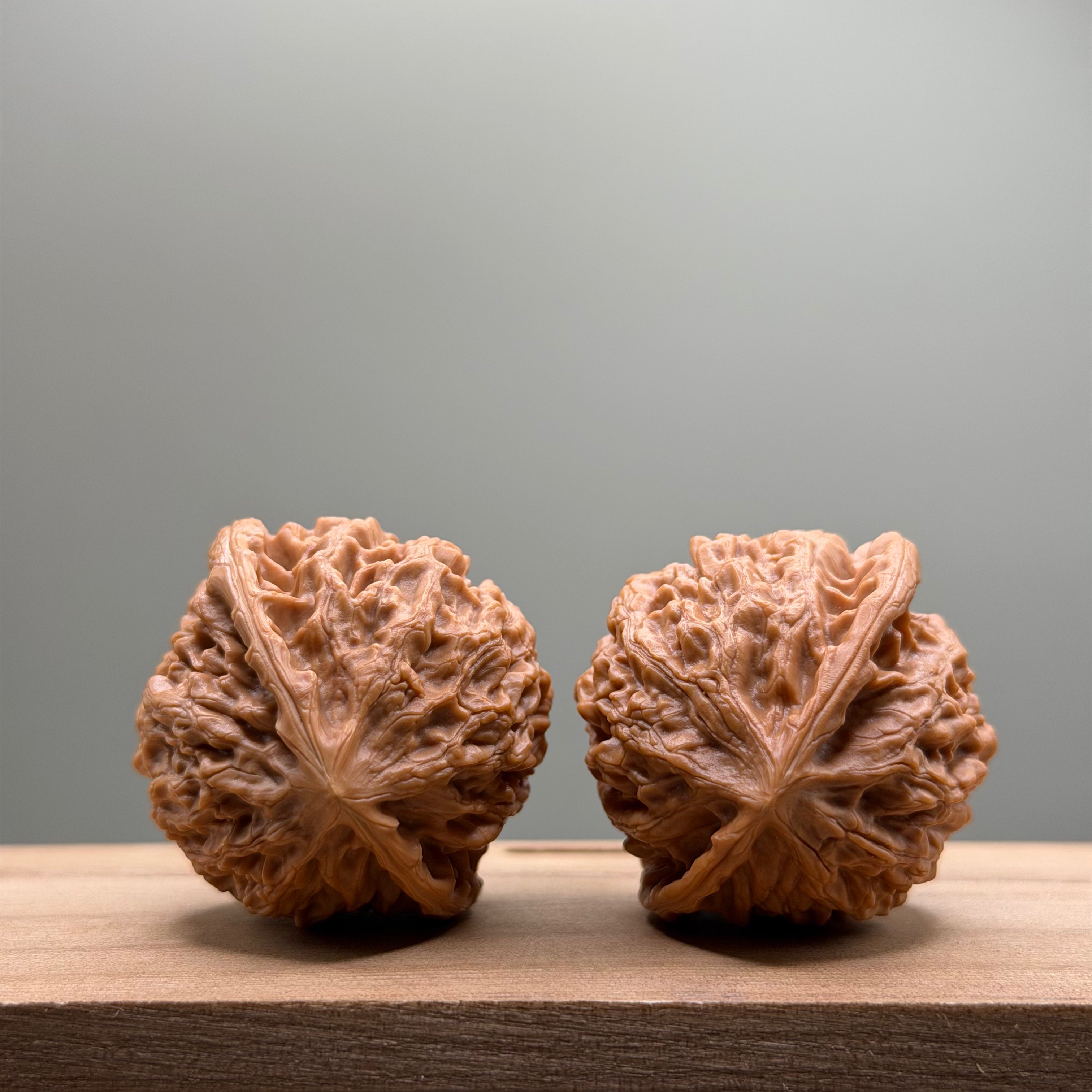 Golden Bull Lion Head Wenwan Walnut