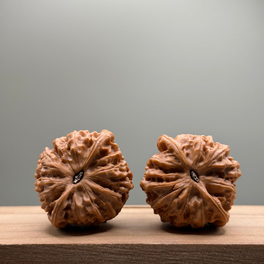 Golden Bull Lion Head Wenwan Walnut