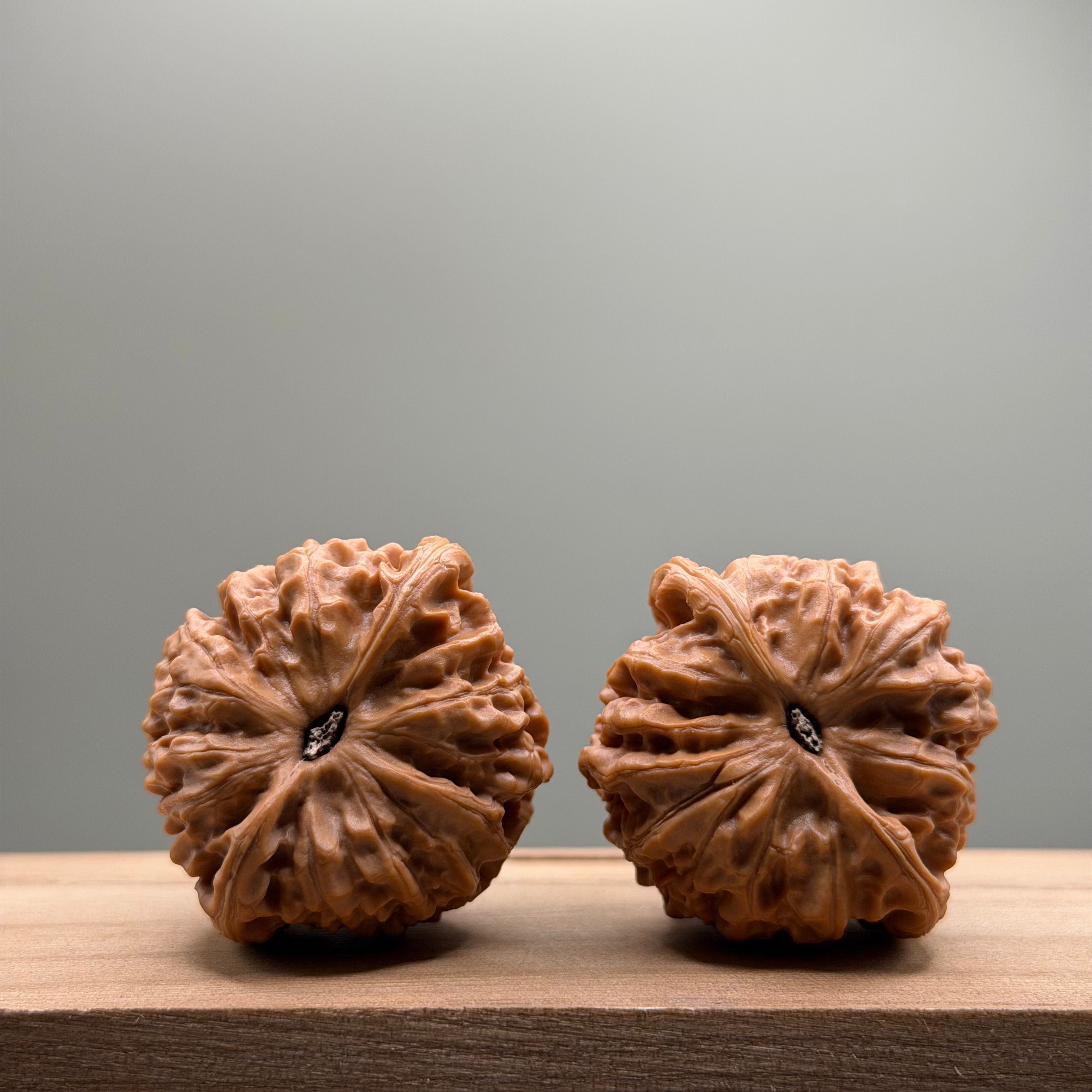 Golden Bull Lion Head Wenwan Walnut