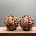 Tyrannosaurus Rex Catalpa Wenwan Walnut