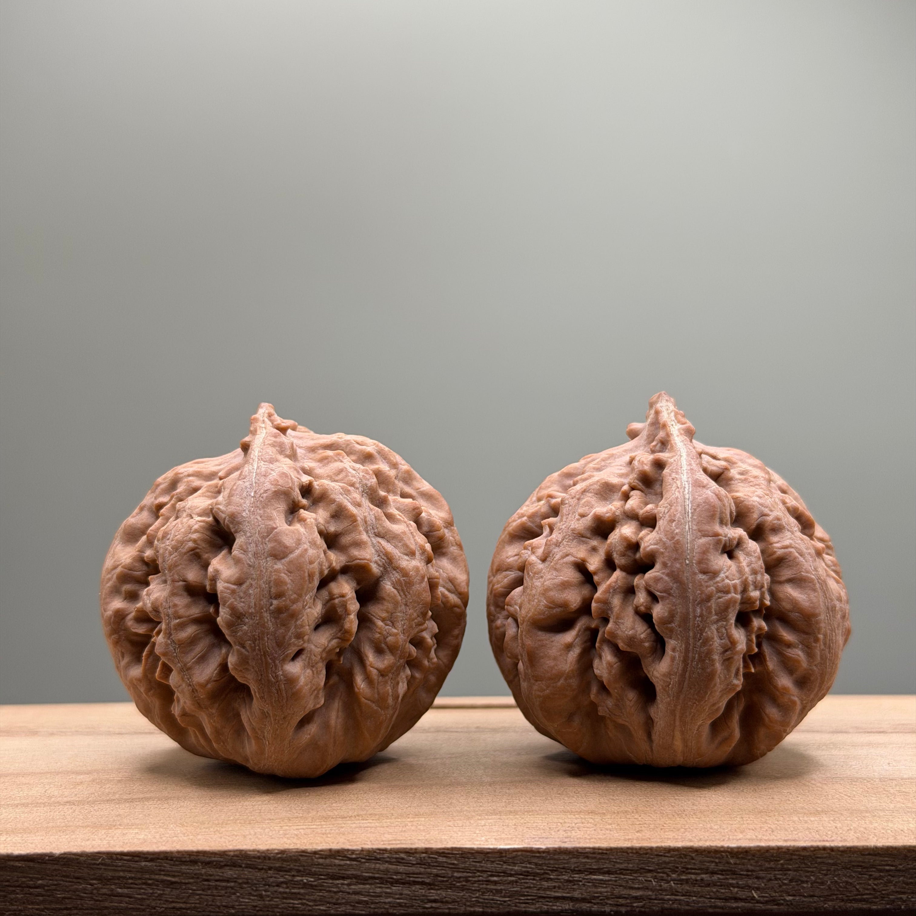 Tyrannosaurus Rex Catalpa Wenwan Walnut
