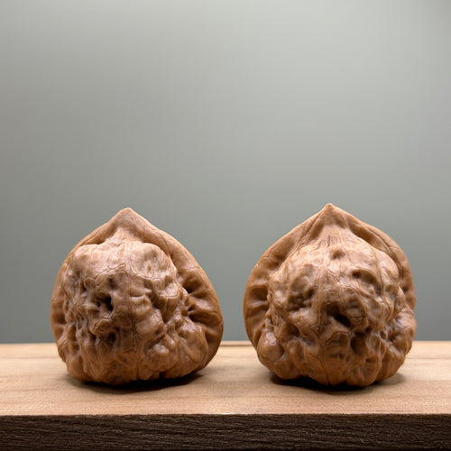 Ancient Python Toad Head Wenwan Walnut
