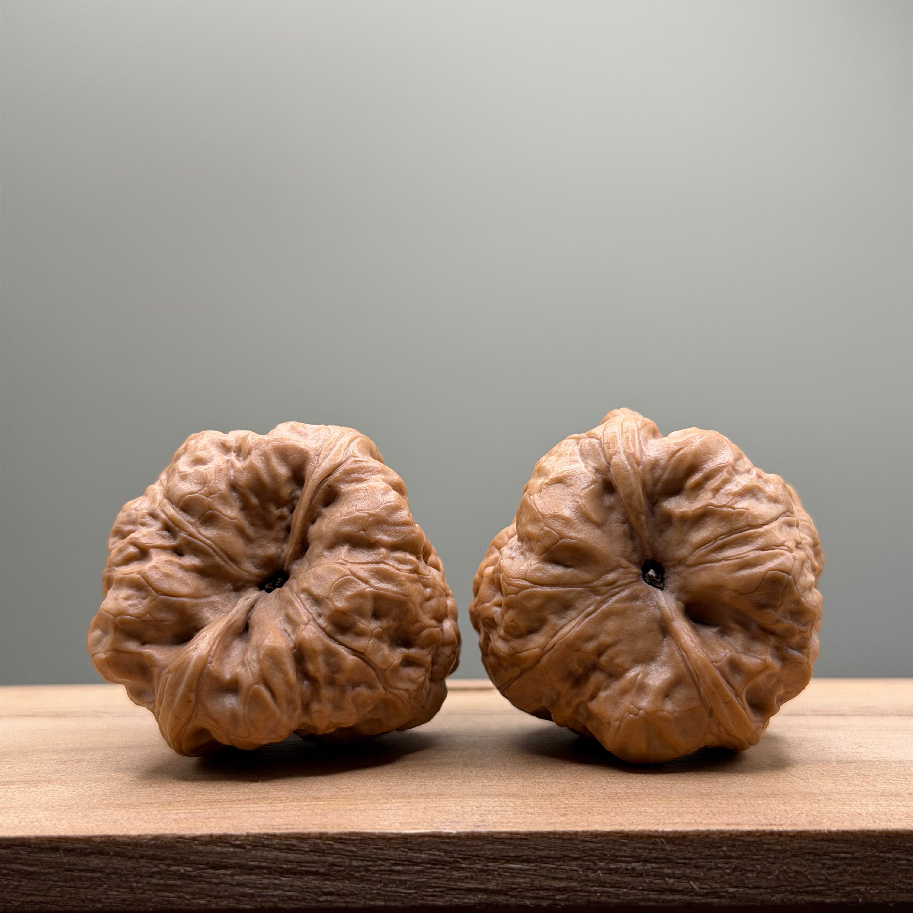 Ancient Python Toad Head Wenwan Walnut