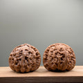 White Lion Head Wenwan Walnut