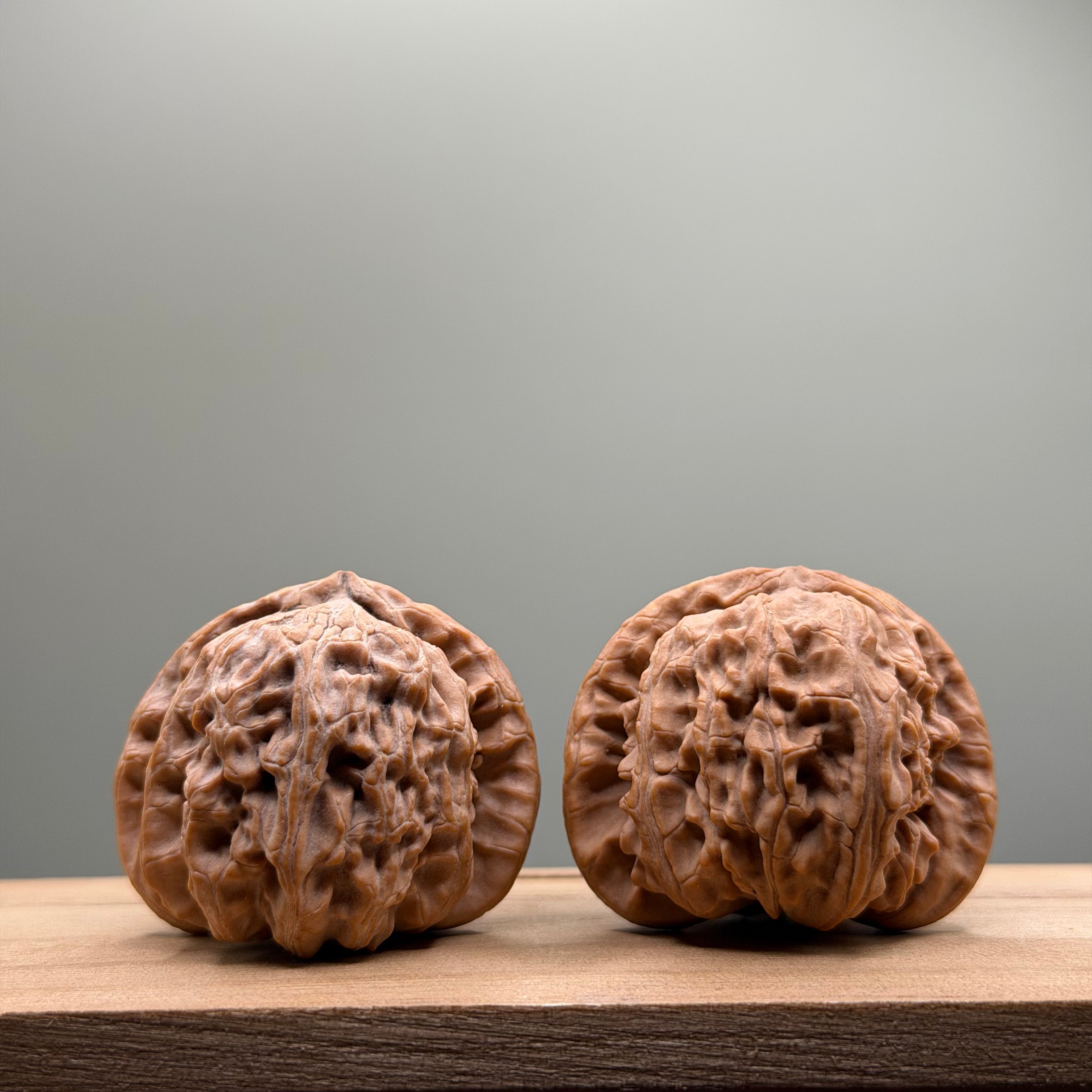 White Lion Head Wenwan Walnut