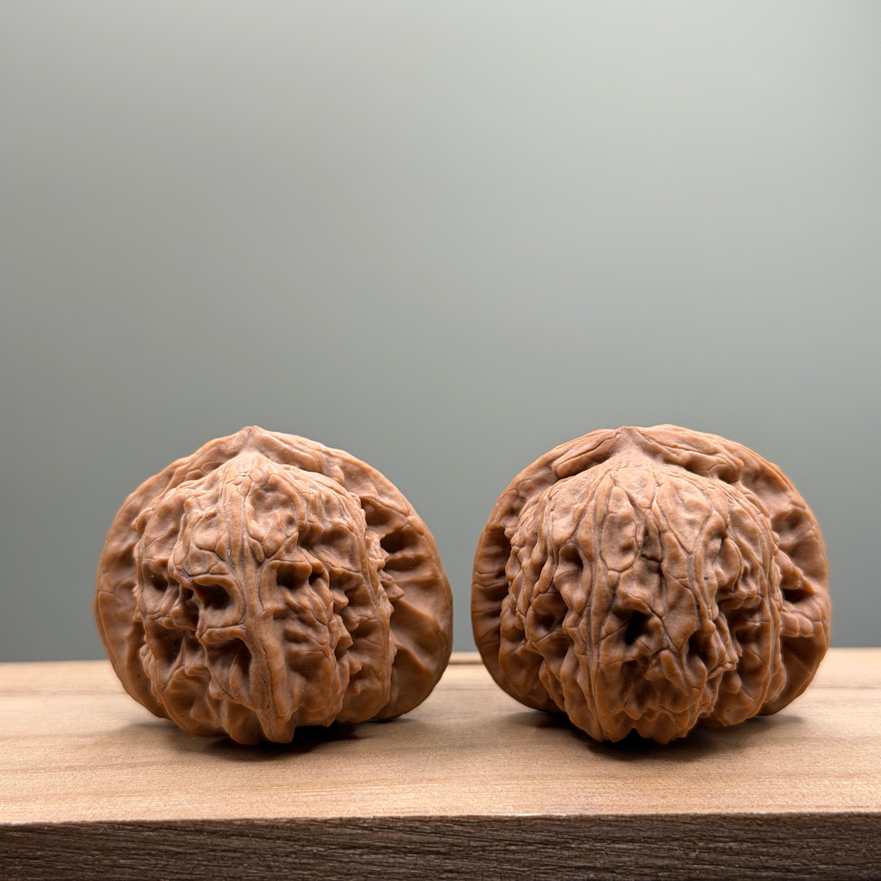 White Lion Head Wenwan Walnut