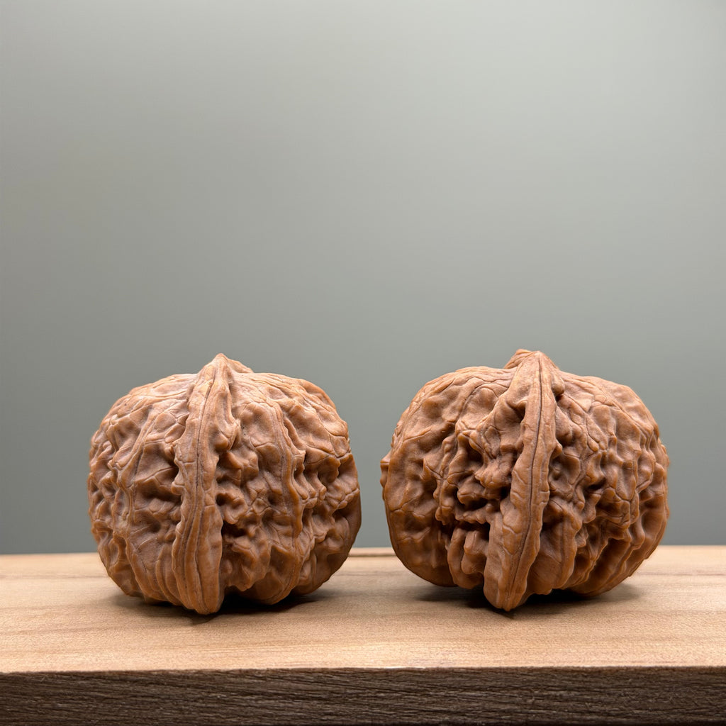 White Lion Head Wenwan Walnut