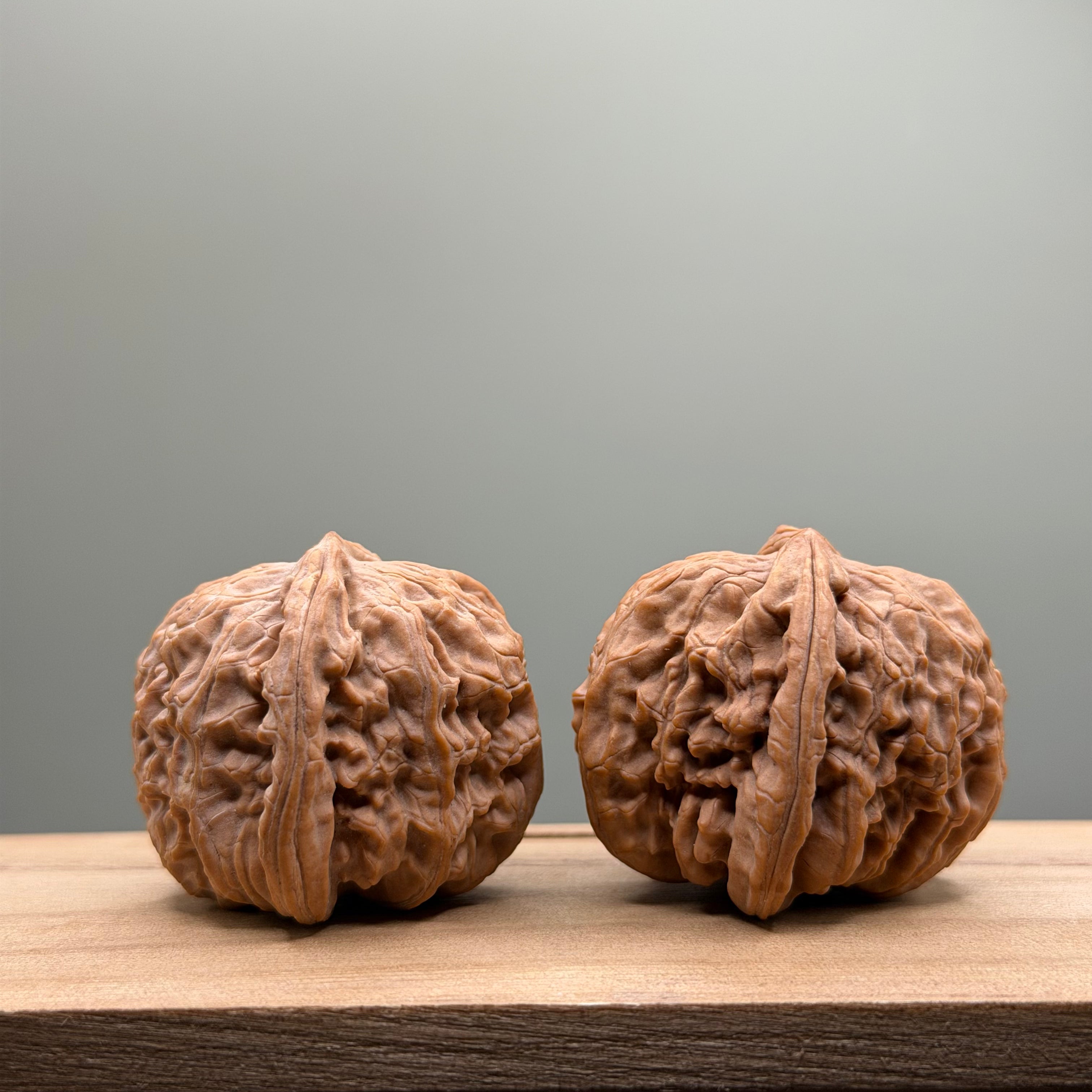 White Lion Head Wenwan Walnut