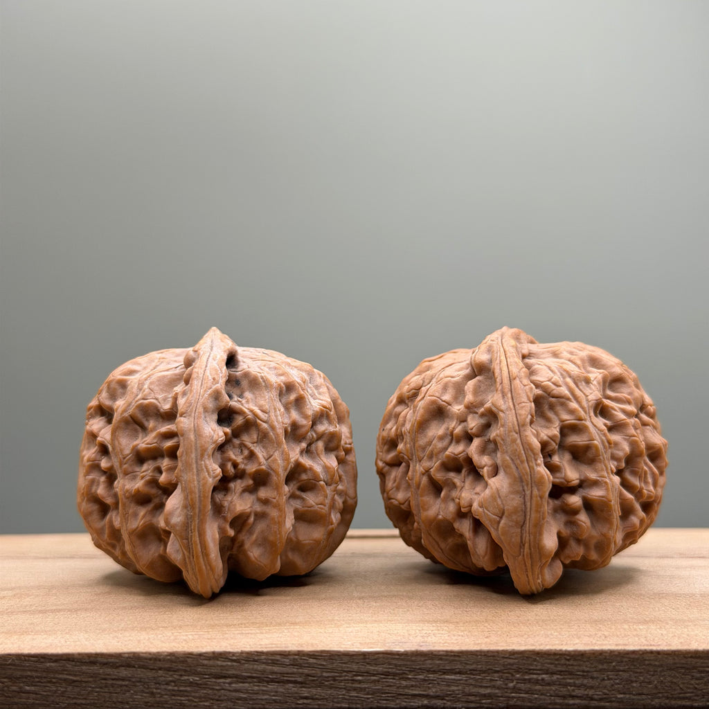 White Lion Head Wenwan Walnut