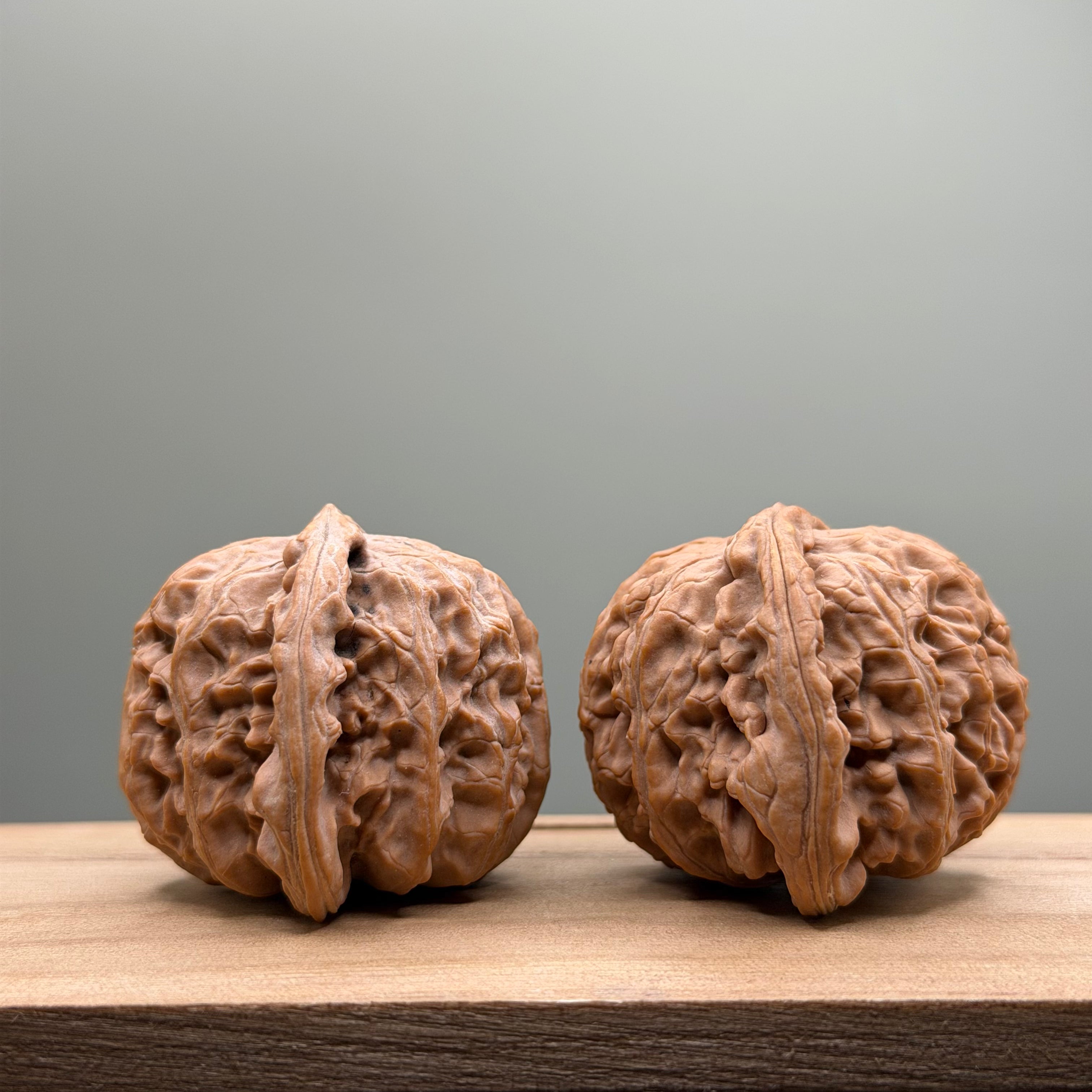 White Lion Head Wenwan Walnut