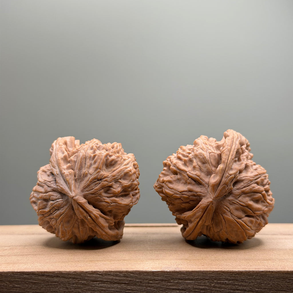 White Lion Head Wenwan Walnut