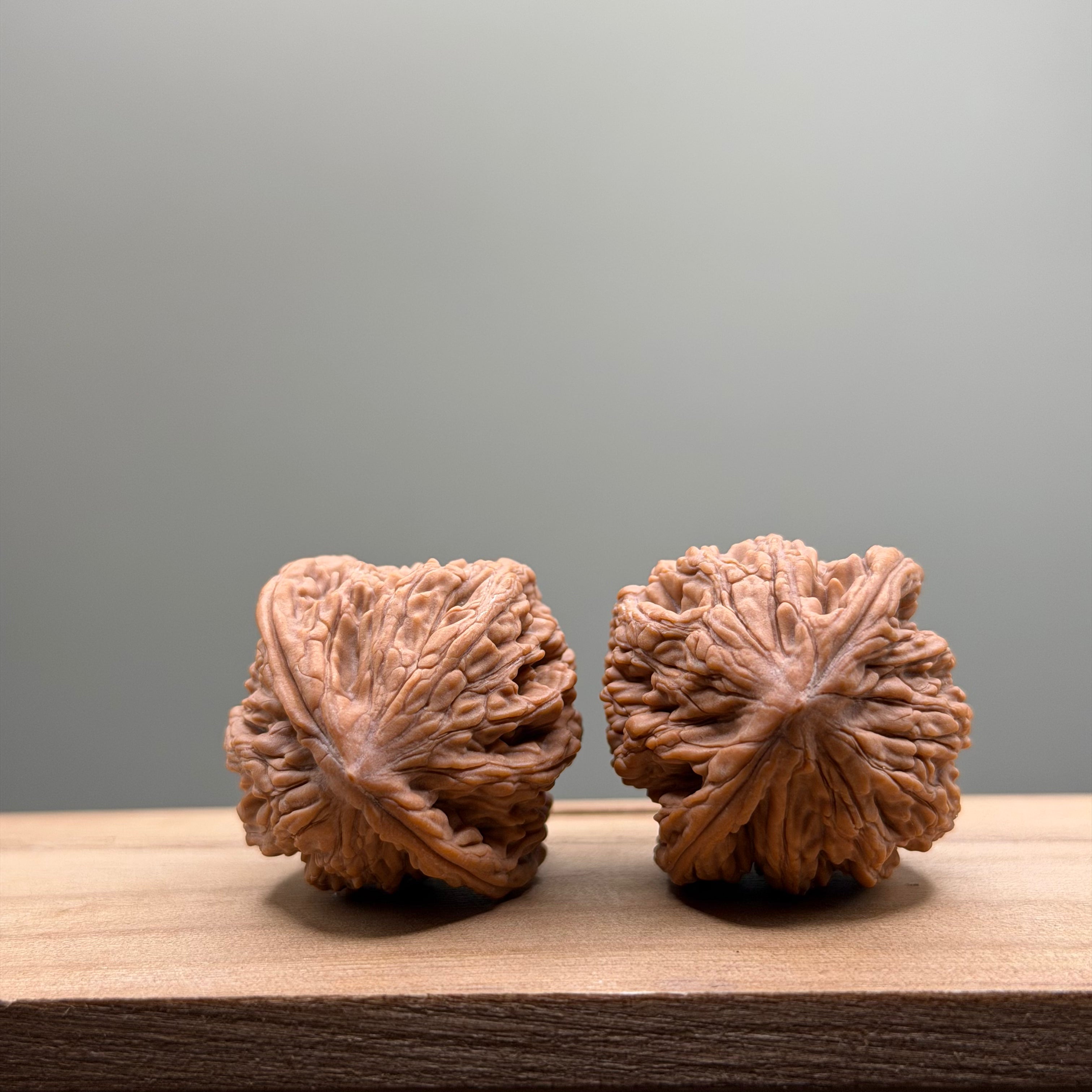 Wheat Ear Tiger Head Wenwan Walnut