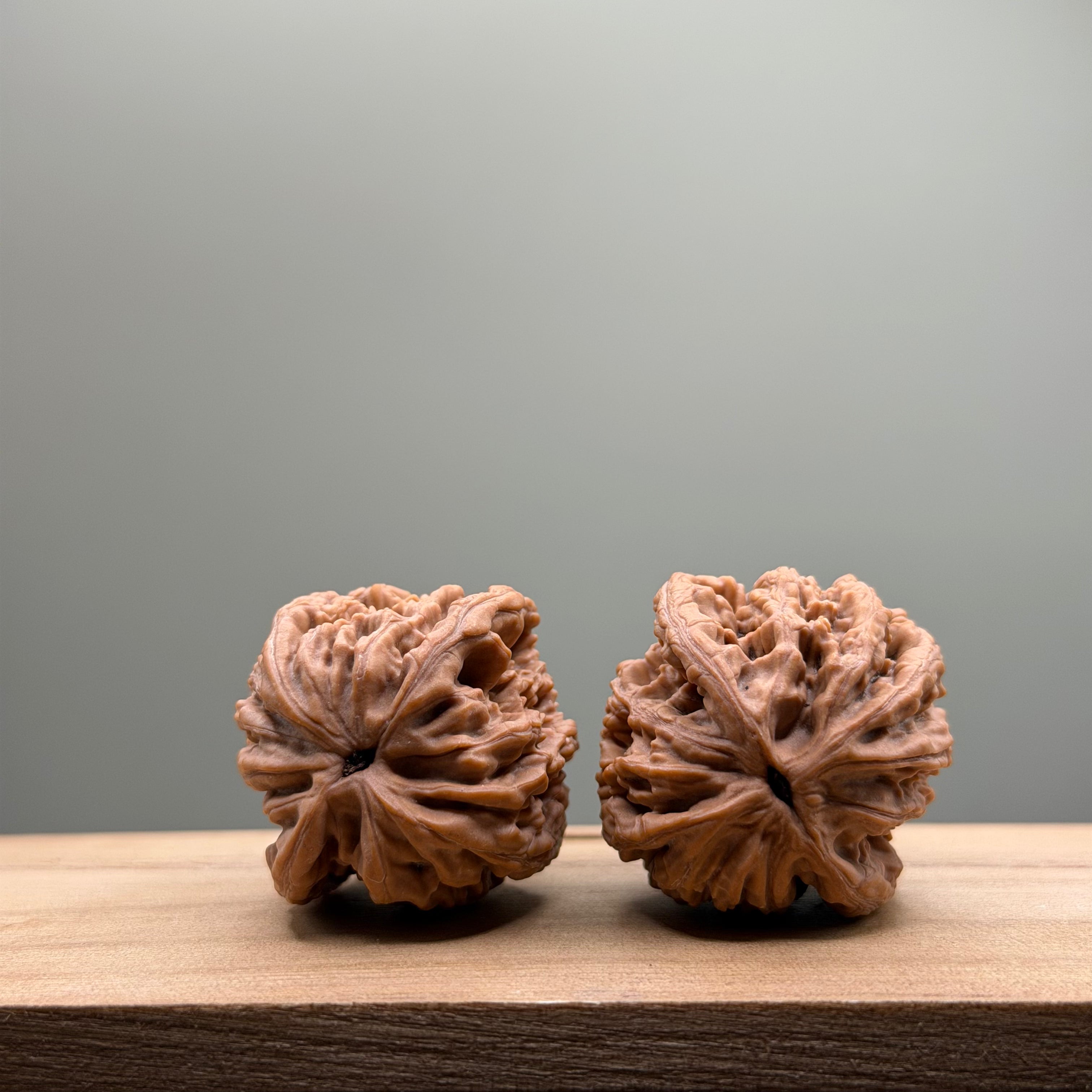 Wheat Ear Tiger Head Wenwan Walnut
