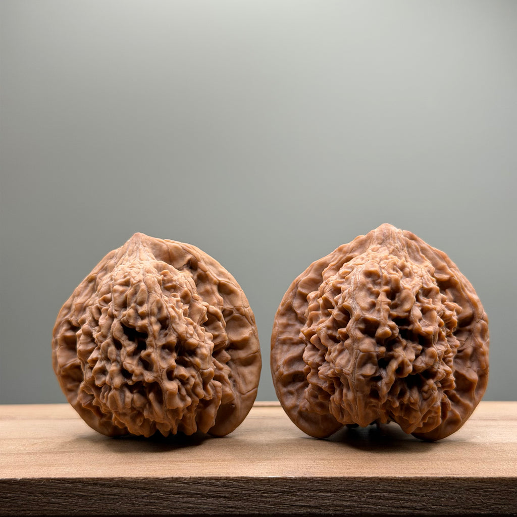 Starry Sky Lion Head Wenwan Walnut