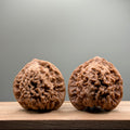 Starry Sky Lion Head Wenwan Walnut