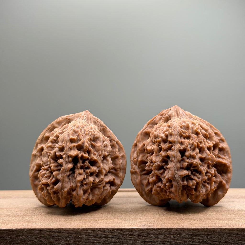 Starry Sky Lion Head Wenwan Walnut