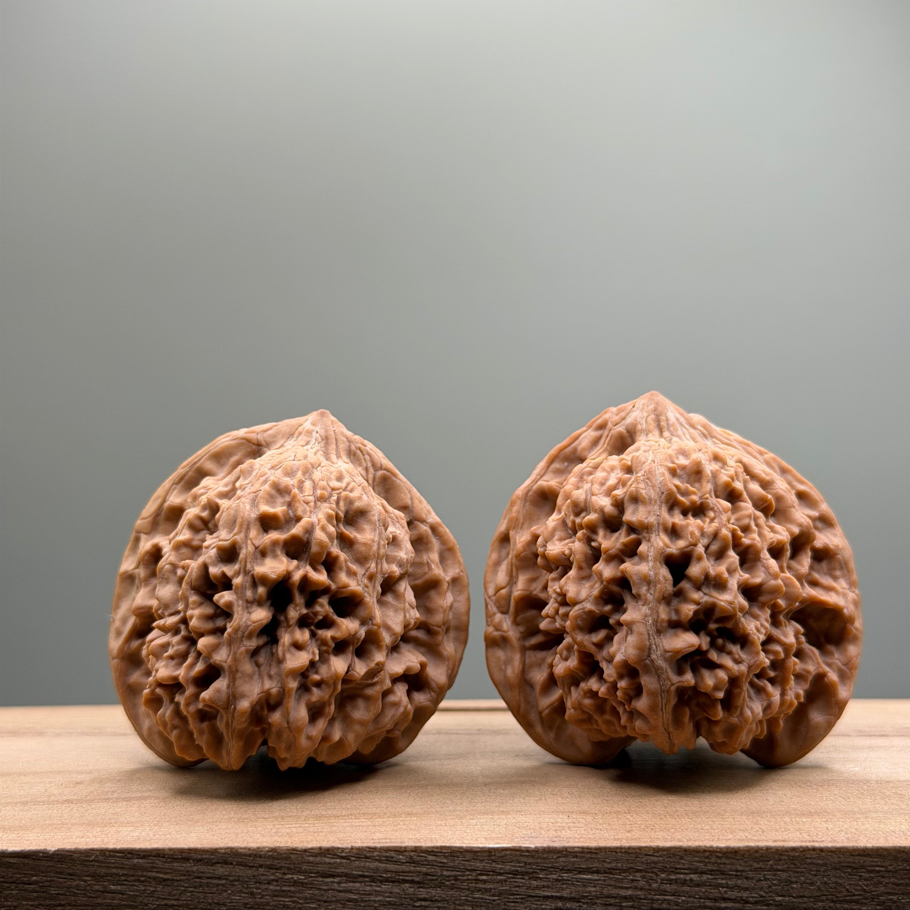 Starry Sky Lion Head Wenwan Walnut