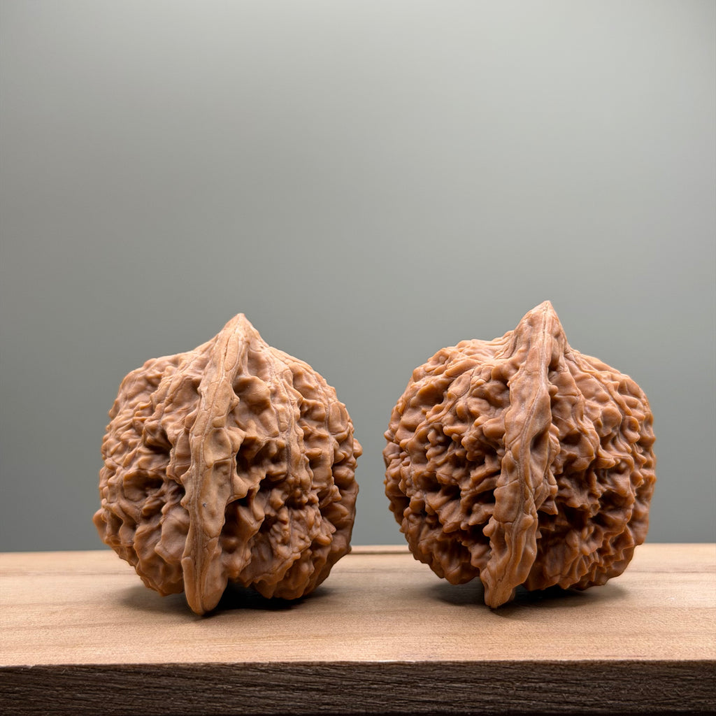 Starry Sky Lion Head Wenwan Walnut