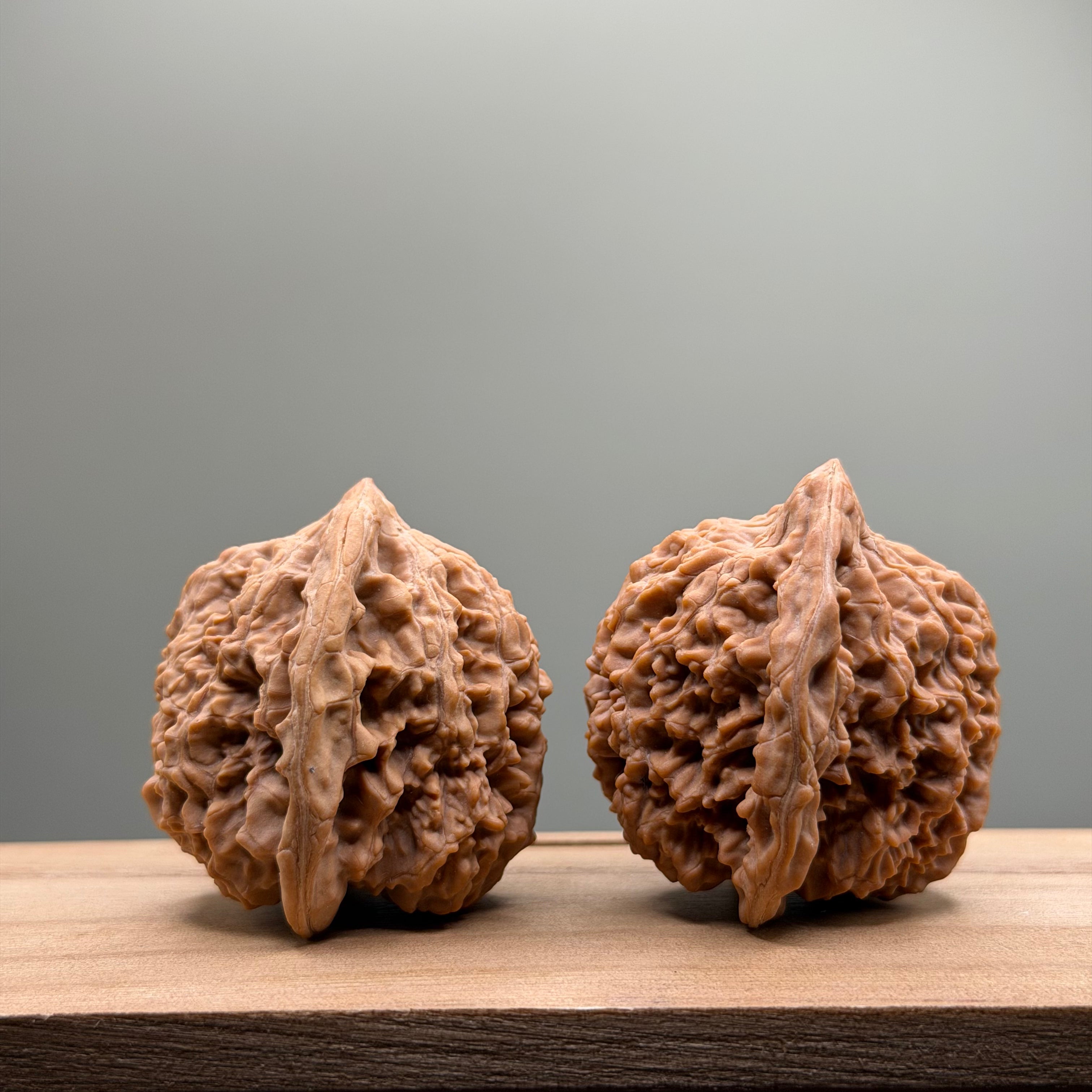 Starry Sky Lion Head Wenwan Walnut