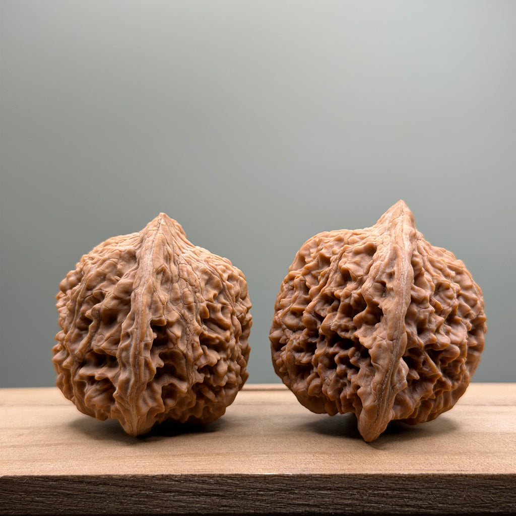 Starry Sky Lion Head Wenwan Walnut