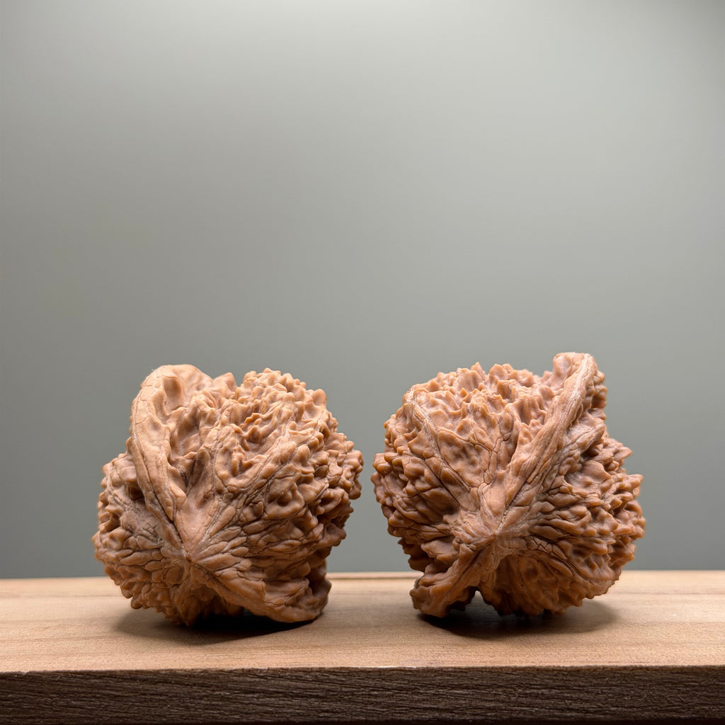 Starry Sky Lion Head Wenwan Walnut
