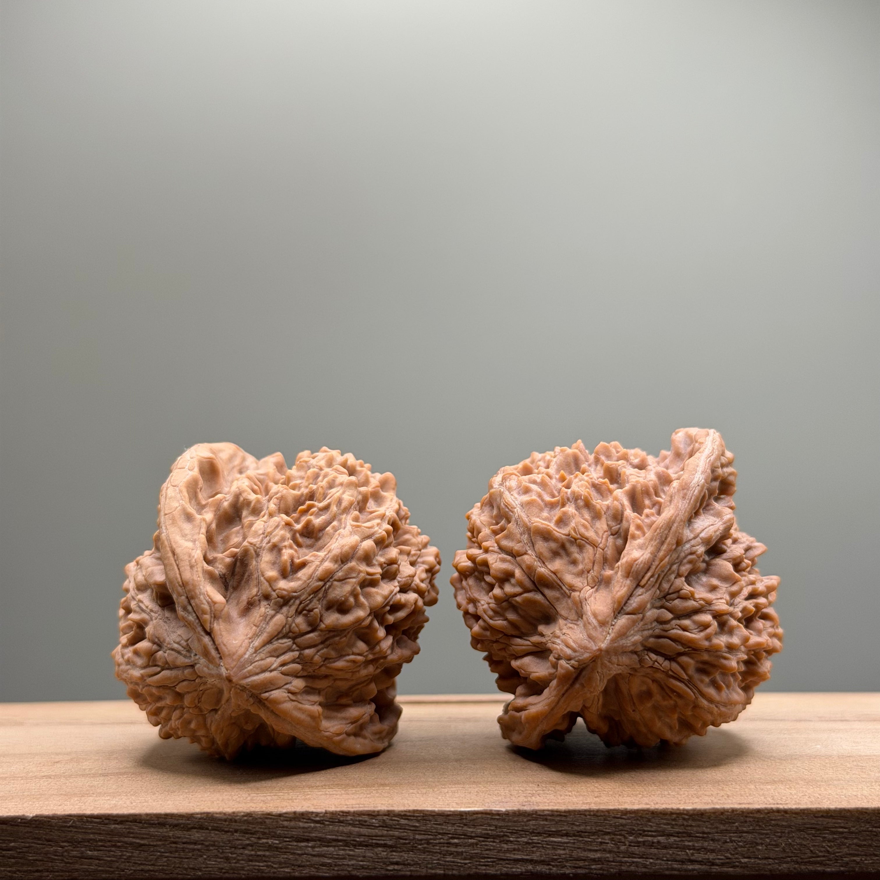 Starry Sky Lion Head Wenwan Walnut