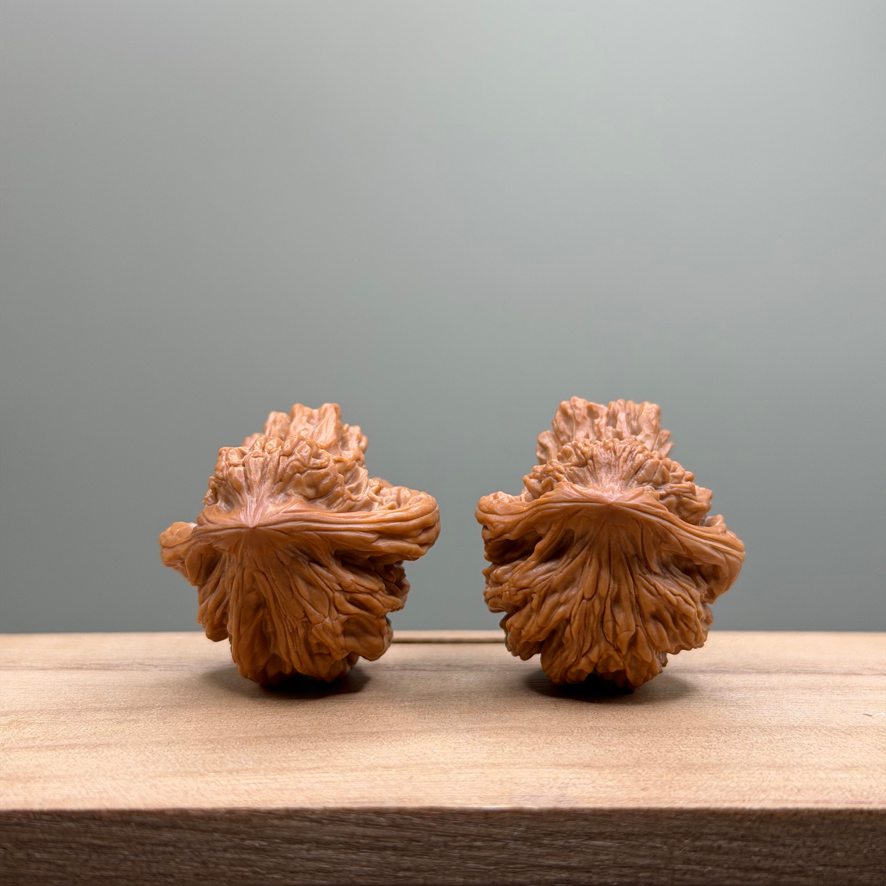 Bird Tiger Head Wenwan Walnut