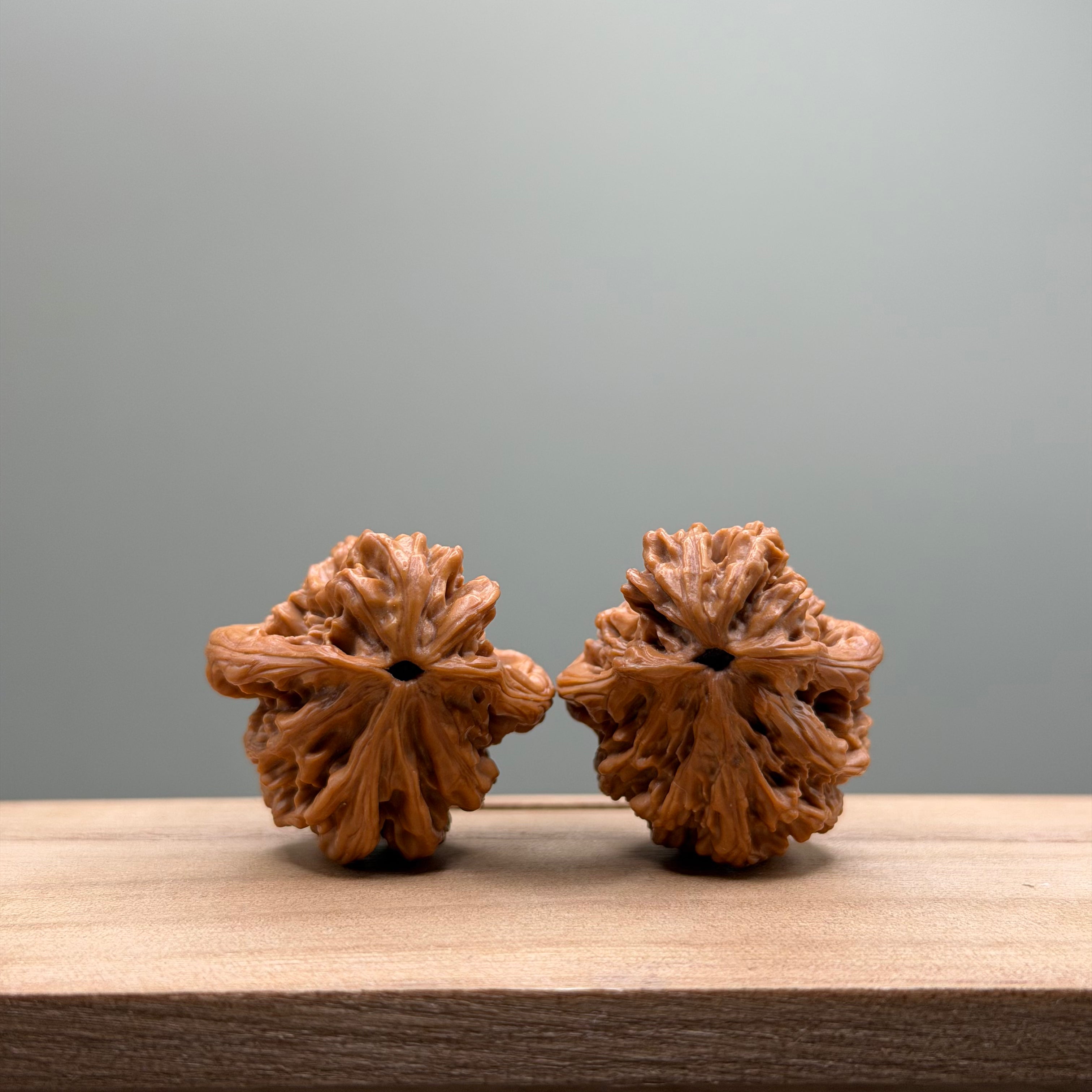 Bird Tiger Head Wenwan Walnut