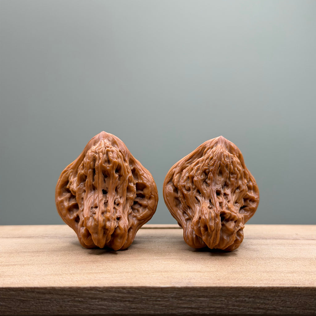 Bird Tiger Head Wenwan Walnut