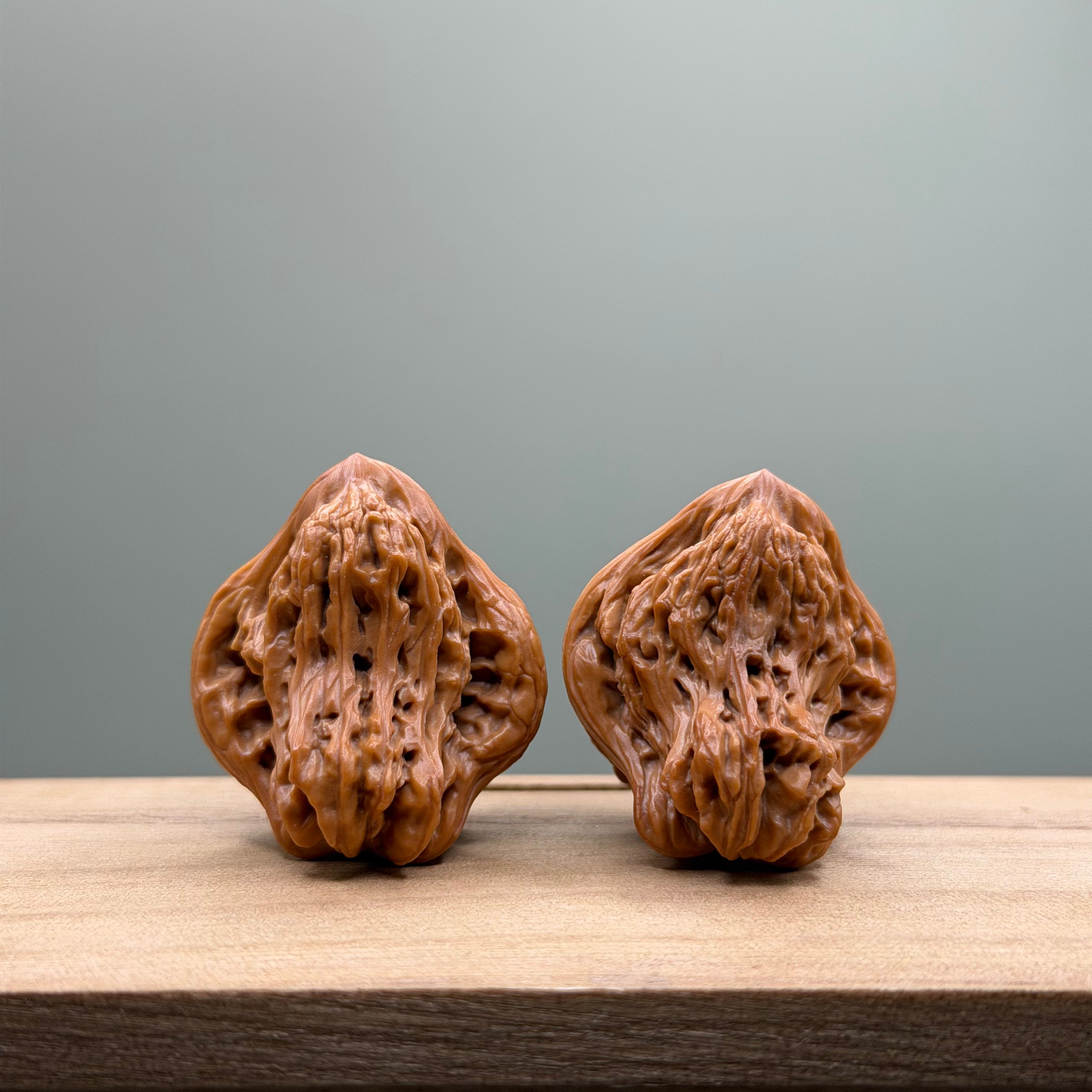 Bird Tiger Head Wenwan Walnut