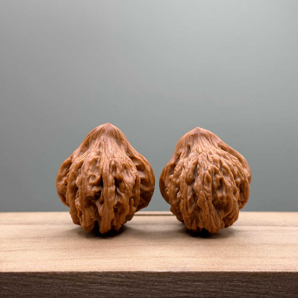 Bird Tiger Head Wenwan Walnut