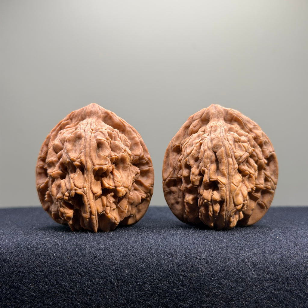 Wheat Ear Tiger Head Wenwan Walnut · 40mm · Natural · Select Ritual