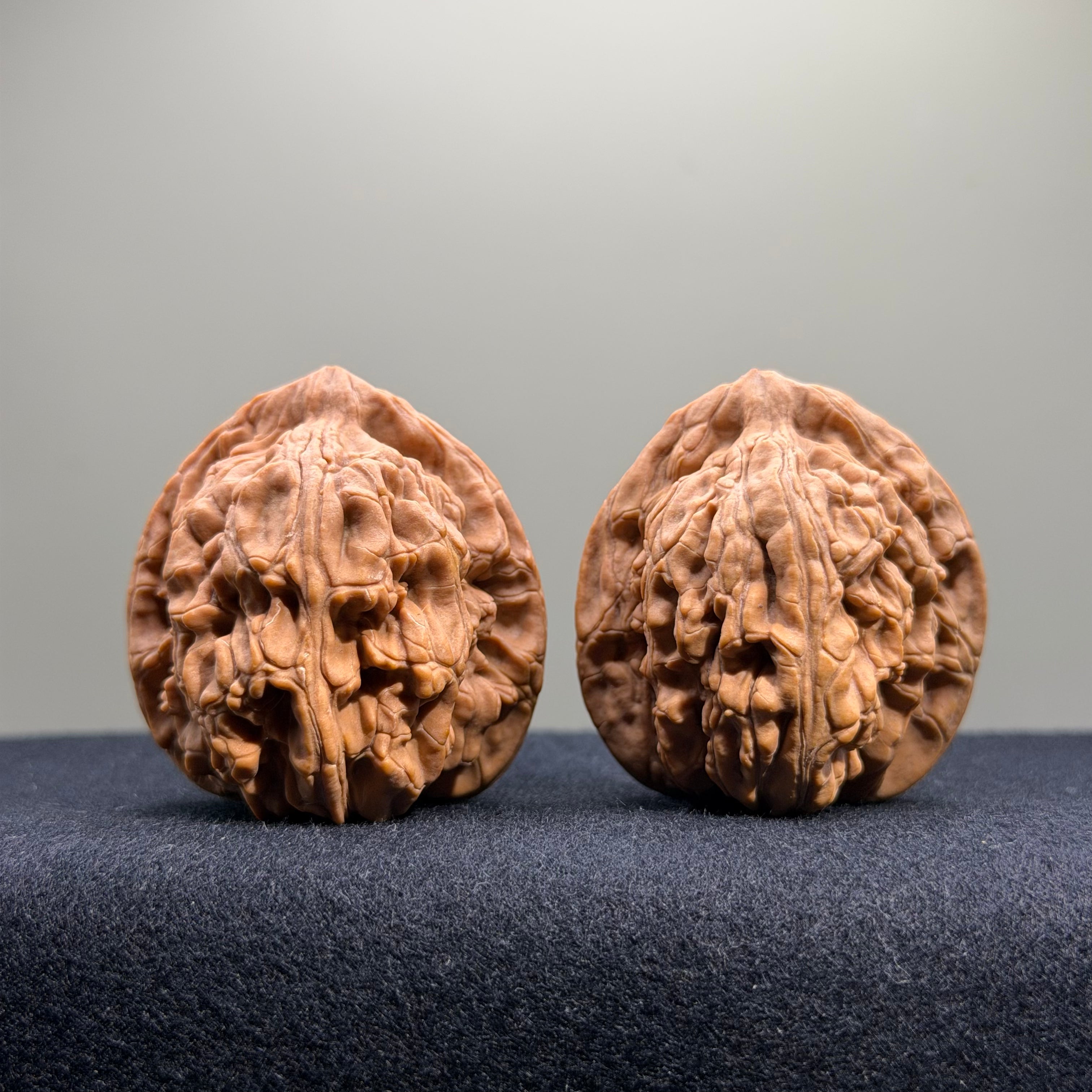 Wheat Ear Tiger Head Wenwan Walnut · 40mm · Natural · Select Ritual