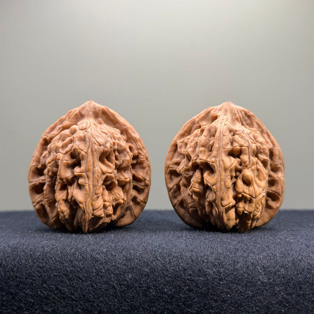 Wheat Ear Tiger Head Wenwan Walnut · 40mm · Natural · Select Ritual