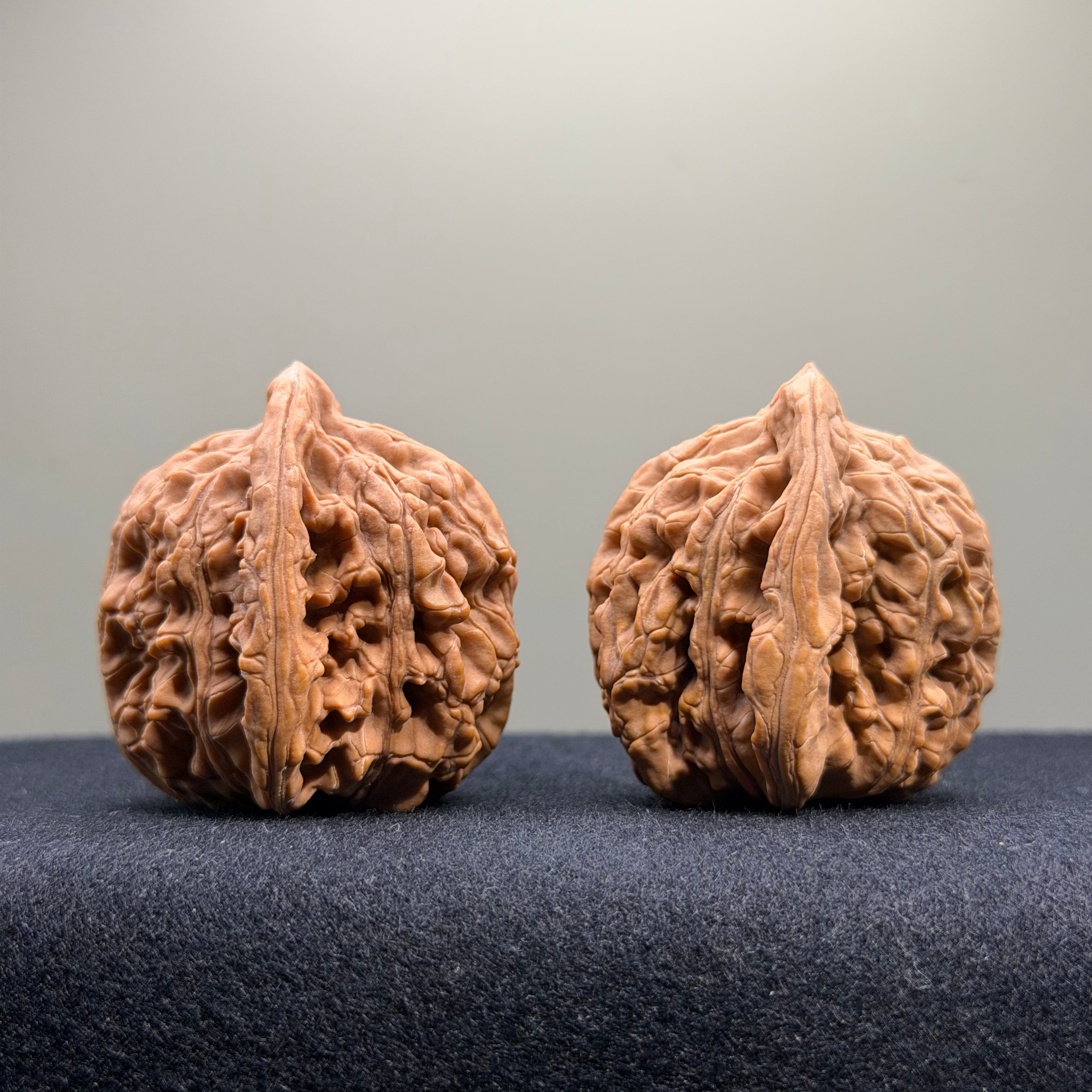Wheat Ear Tiger Head Wenwan Walnut · 40mm · Natural · Select Ritual