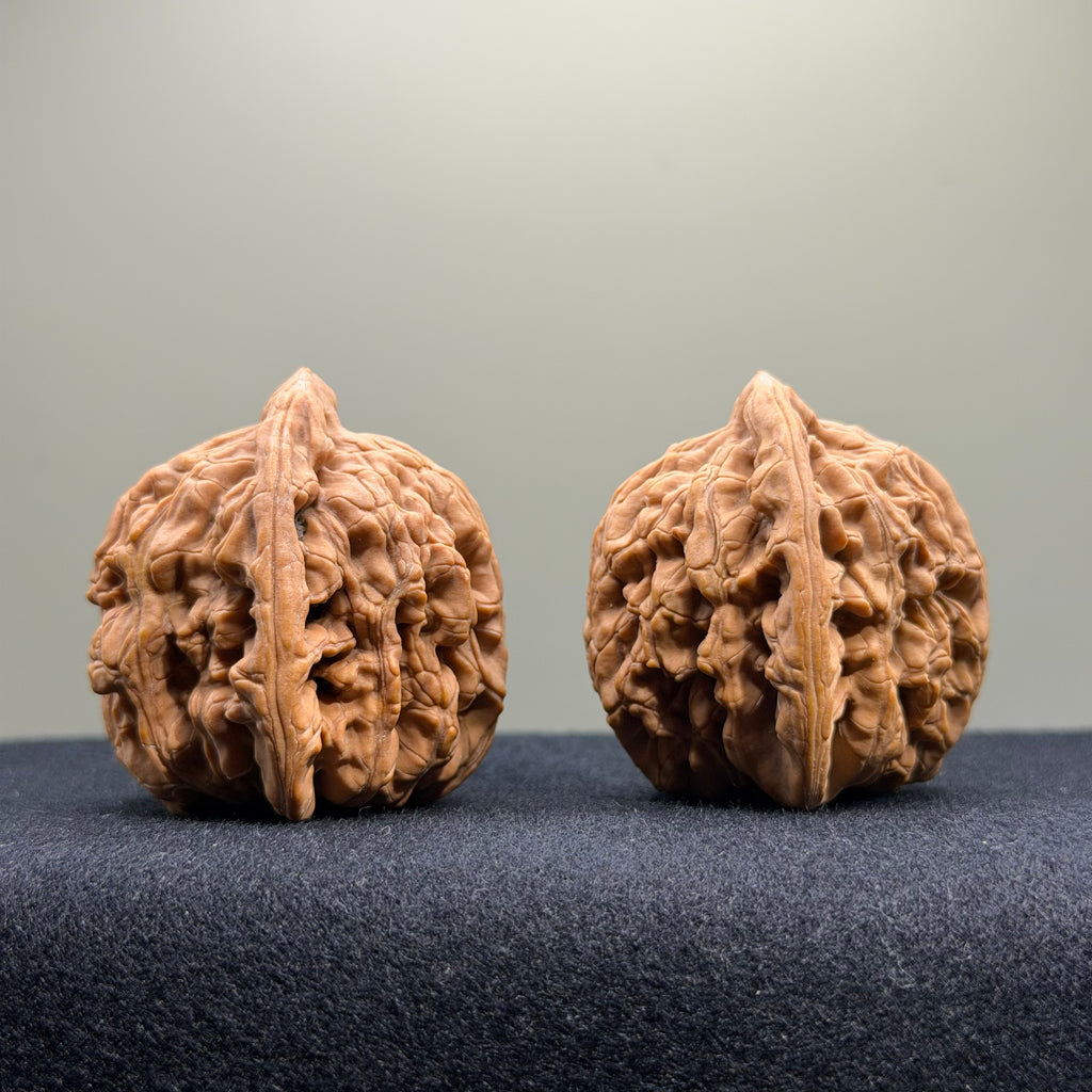 Wheat Ear Tiger Head Wenwan Walnut · 40mm · Natural · Select Ritual