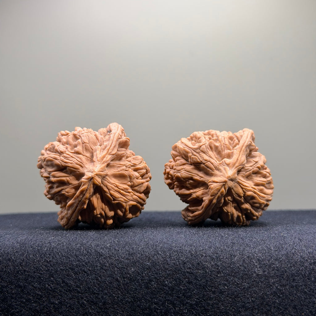 Wheat Ear Tiger Head Wenwan Walnut · 40mm · Natural · Select Ritual