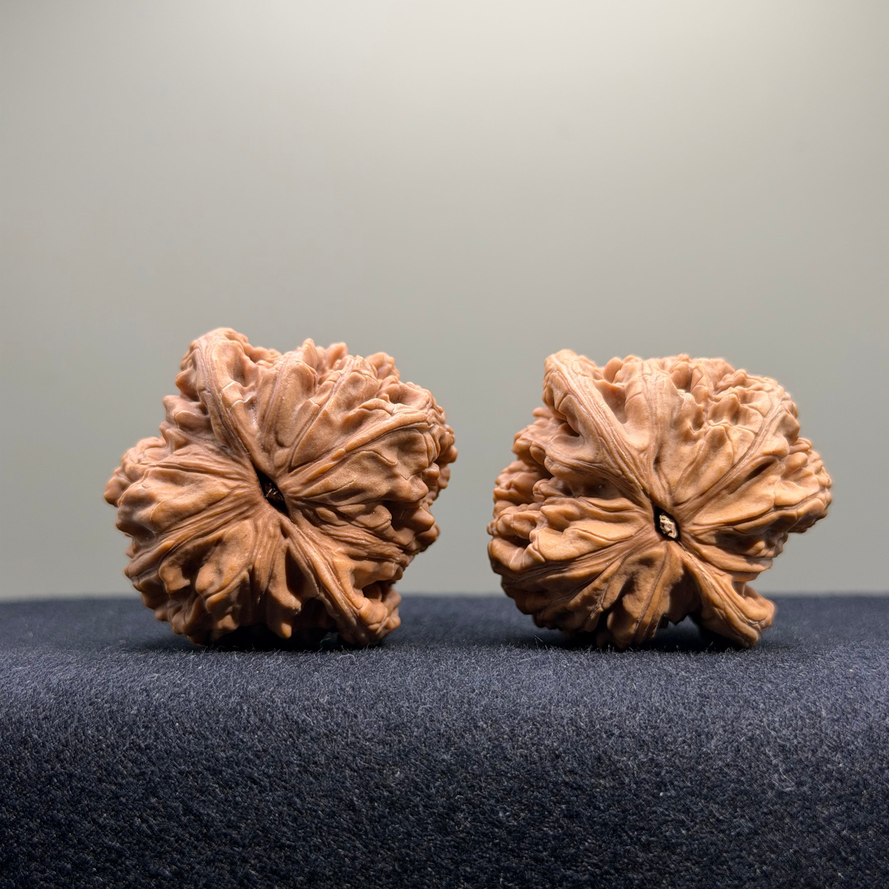 Wheat Ear Tiger Head Wenwan Walnut · 40mm · Natural · Select Ritual