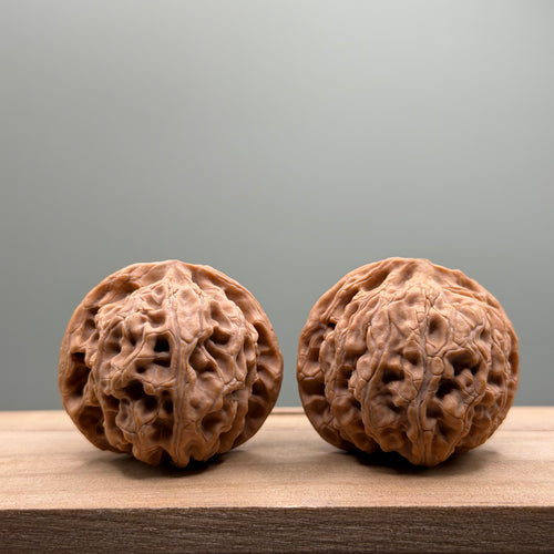 Apple Orchard Lion Head Wenwan Walnut