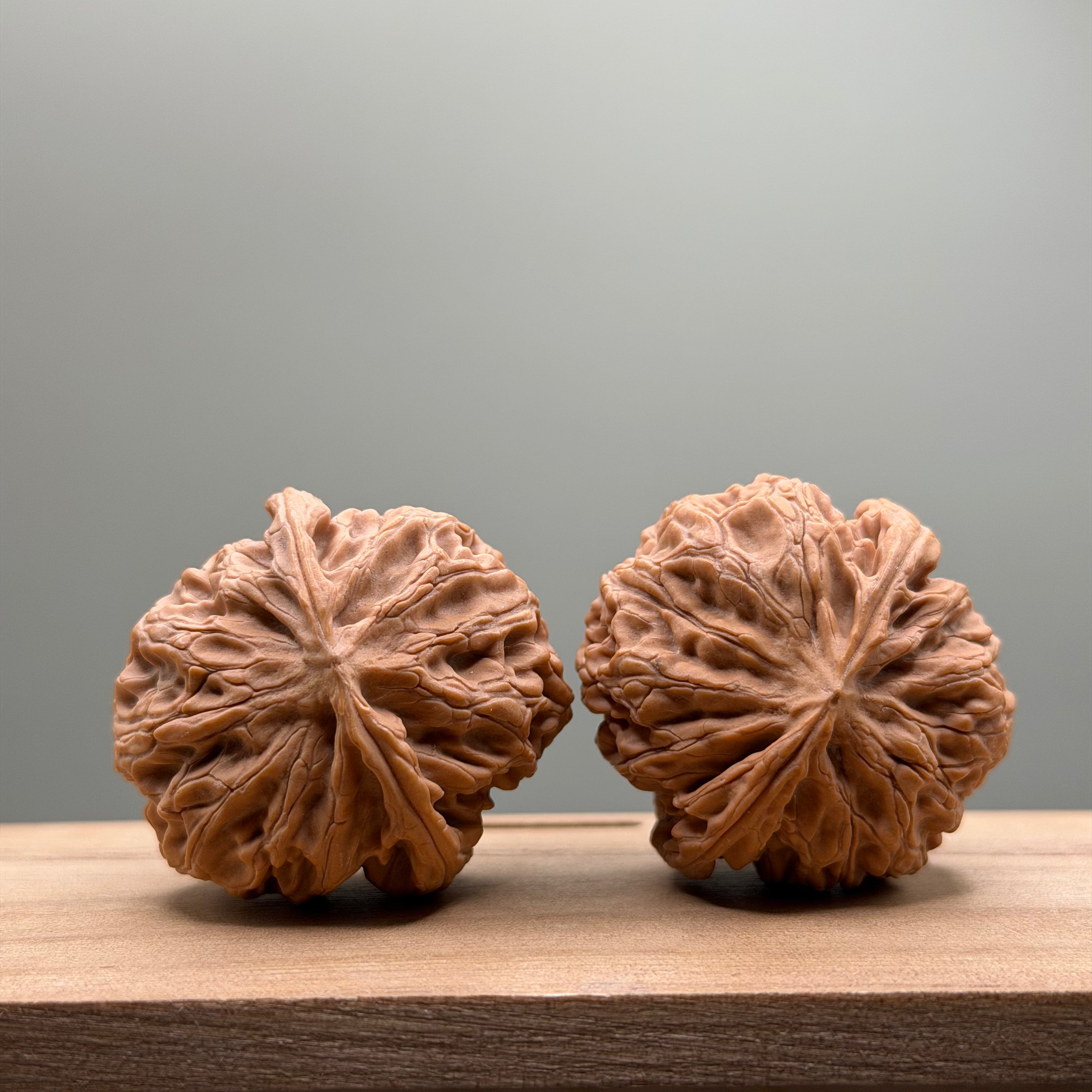 Apple Orchard Lion Head Wenwan Walnut